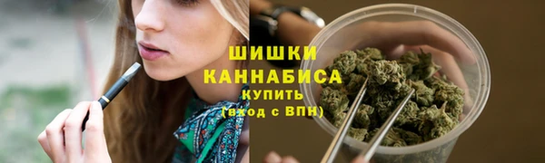 сатива Кодинск