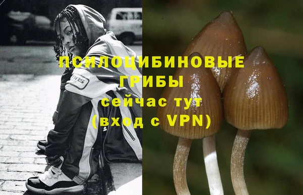 jwh Пересвет