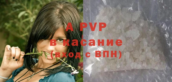 сатива Кодинск