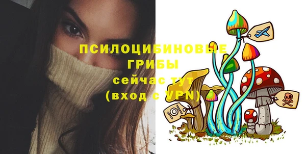 сатива Кодинск